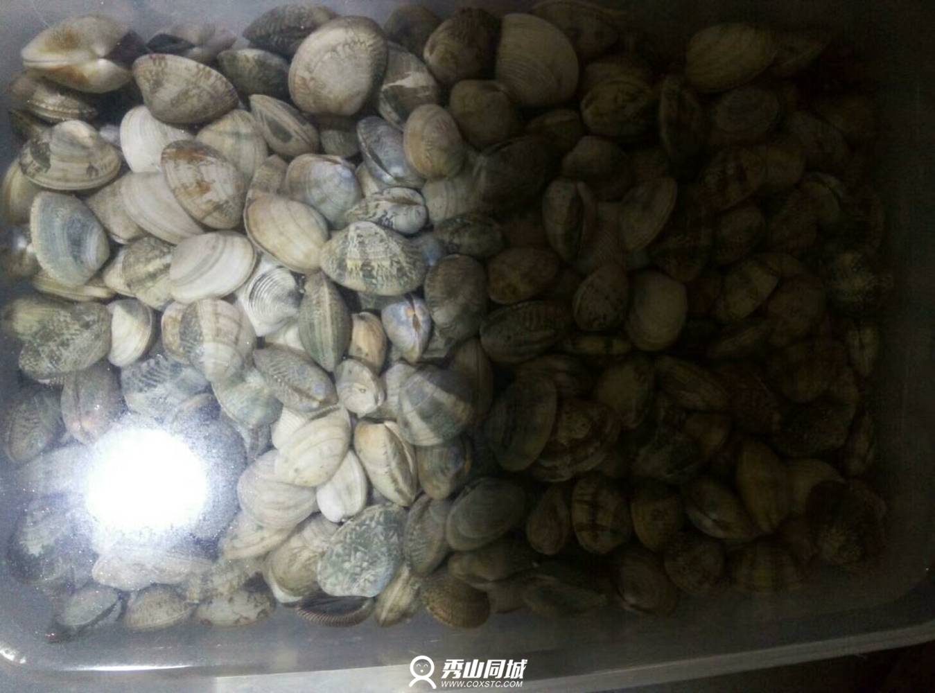 mmexport1513029523948.jpg