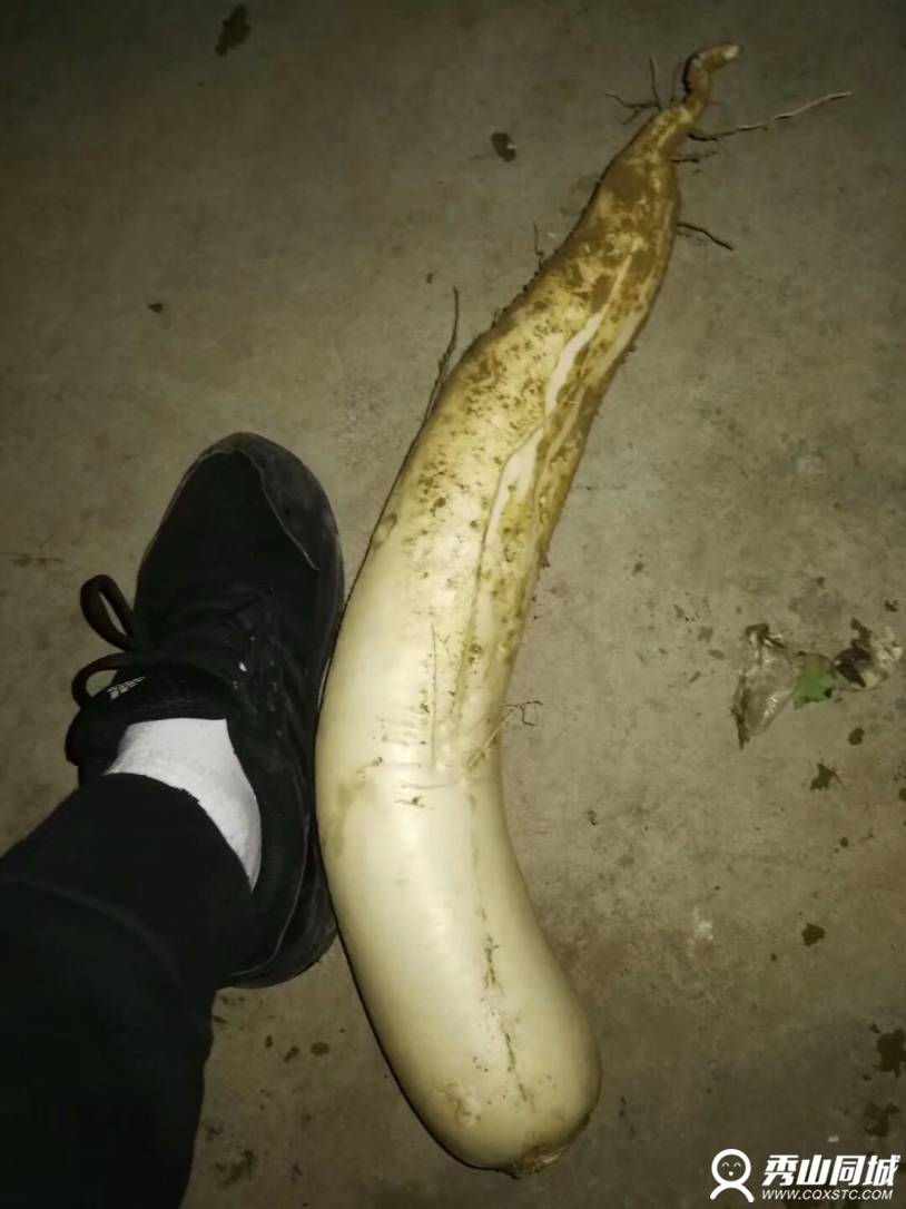 1515798128603.jpeg