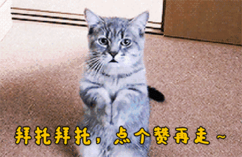 333.gif