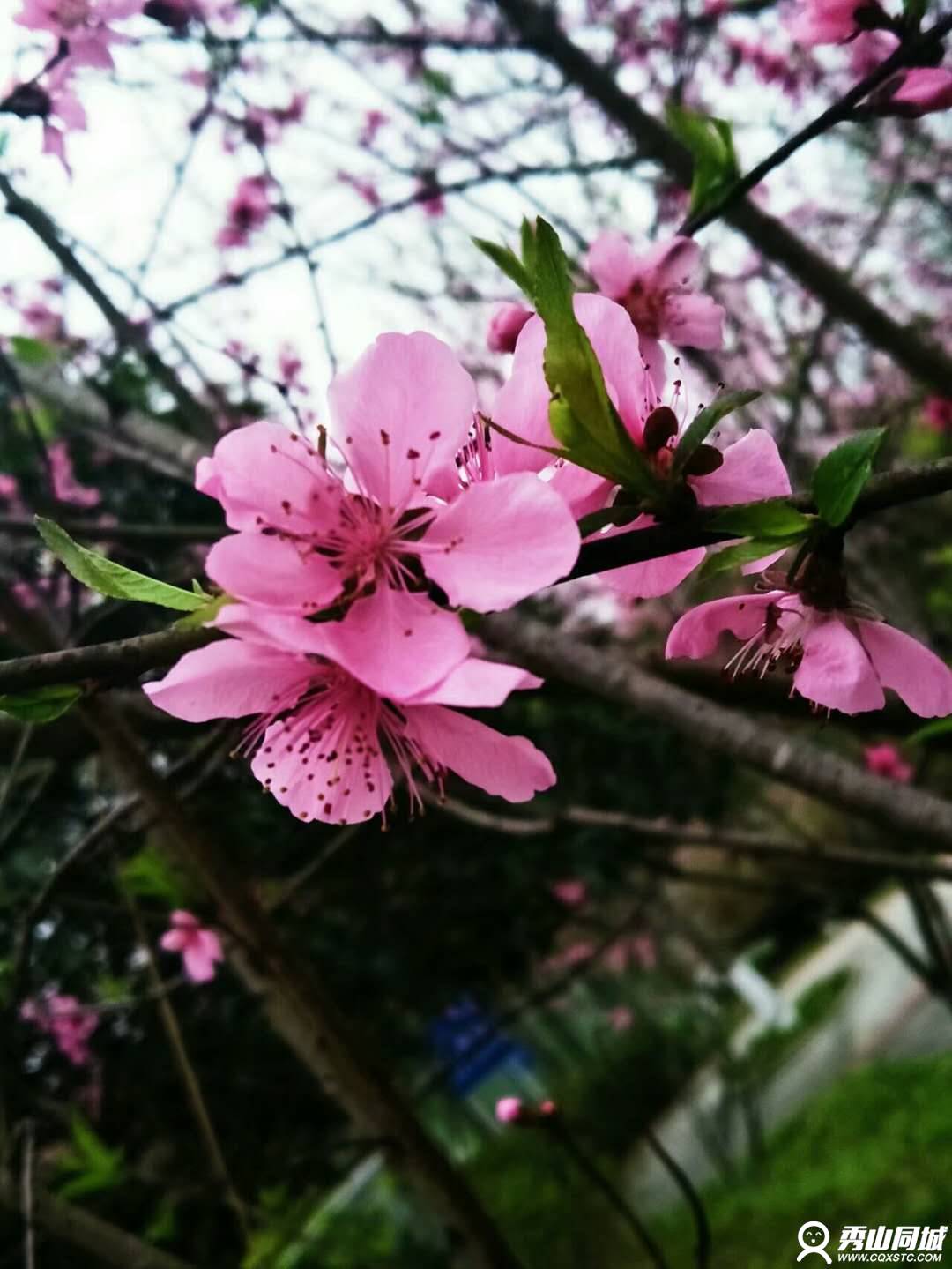 wechat_upload15212002405aabac7051726